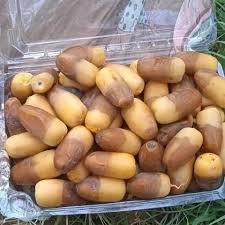 (منبع: تصاویر گوگل)