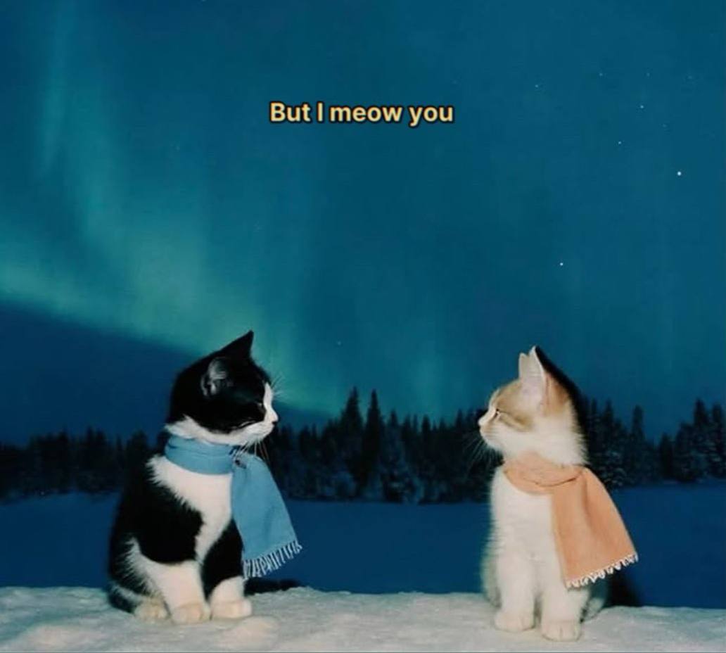 وقتی داستان رو خوندین دچار قضاوتی سخت می‌شید که آیا این شفق قطبی خوشگل‌تره یا شفق قطبی من؟ (معلومه که این! هیچی جایگزین گوربا نمیشه مخصوصا که اگه کنار شفق قطبی هم باشه)