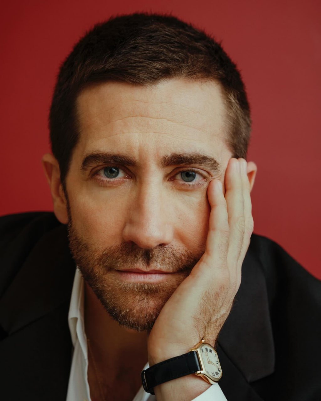 جیک جیلنهال، بازیگر