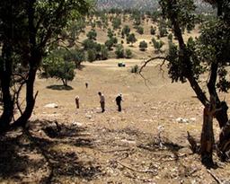 کشف شواهدی از فعالیت های صنعتی گسترده در لبه غربی فلات ایران