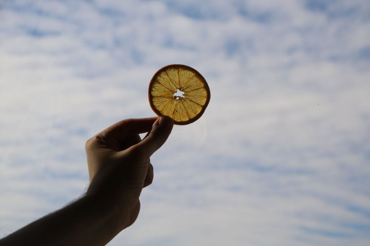 پرتقال خشک شده :)