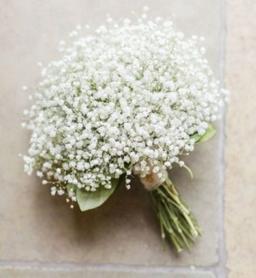 پس زخم هایمان چه؟ نور از آنجا وارد میشود!