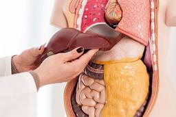 علائم و درمان کبد چرب