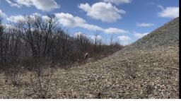 احترام به محیط زیست و فرهنگ تنبیه