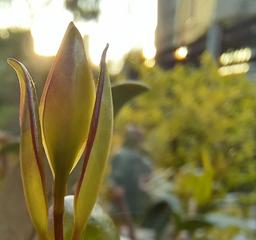 دنبالم بگرد