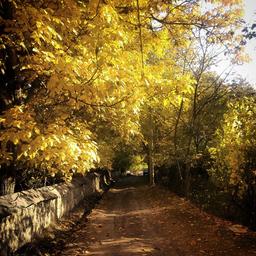 درماندگیِ در گِل ماندن...