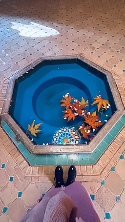 اسنپ