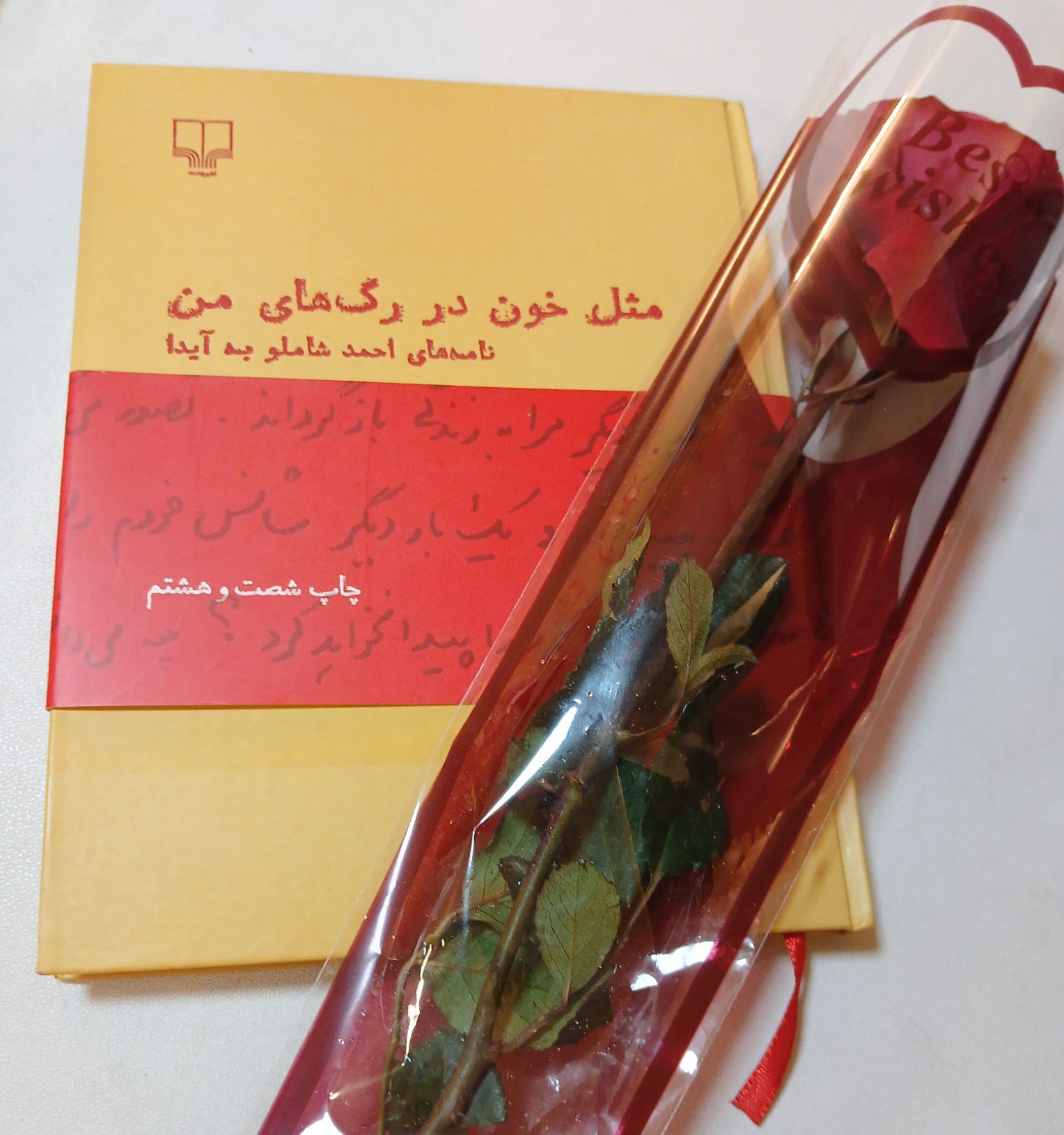 عکس یادگاری که از آن روز دارم