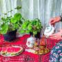 yalda.hemmatzade
