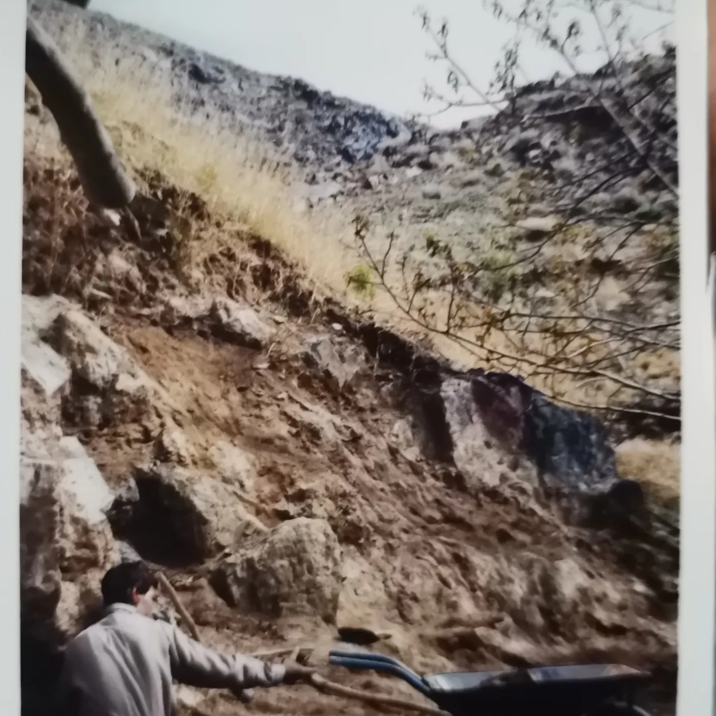 دایی ممد در کلاته