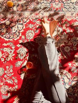 در باب بهمن‌خان بودن