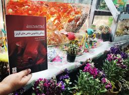 زندگی زناشویی ماهی‌های قرمز