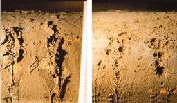 یک مثال از خوردگی: خوردگی اکسیژنی در بویلر