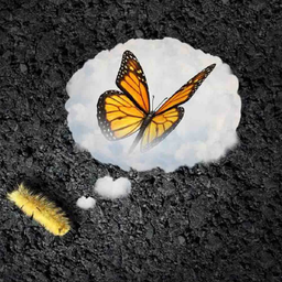 خواستن یا نخواستن، مسئله این نیست!