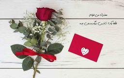 معذرت می‌خواهم