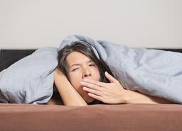 در جستجوی شغل رویایی!