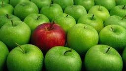 عقل‌گرایی و تجربه‌گرایی