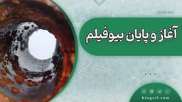 آغاز و پایان بیوفیلم