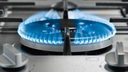 تعویض ژیگلور فر اجاق گاز