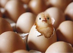 سوال های جذاب در مورد دنیای هستی