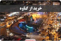 راهنمای خرید از گناوه؛ از سایت گناوه مارت
