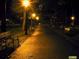 سندرم احساس تحت نظر بودن و تلاش برای جلب نظر...