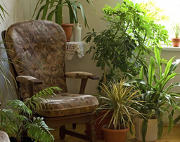 شما چه مدل گلدونی رو بیشتر دوست دارید؟