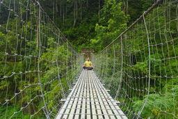 همه چیز درباره ویپاسانا