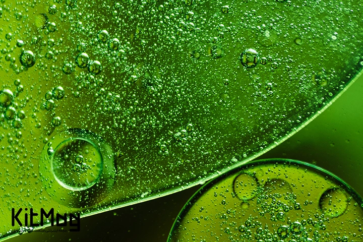 اسپیرولینا_کیت مگ_5