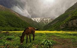 جاهای دیدنی برای گردشگری در فصل بهار در مازندران