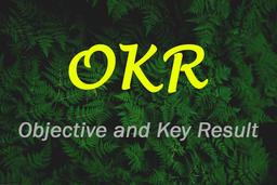 با OKR کمال گرا باش ولی حرکت کن!