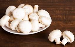 آشنایی با خاصیت ها و زیان های قارچ