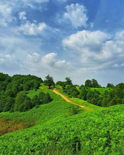 گشت و گذار در دنیای غذاهای گیلان