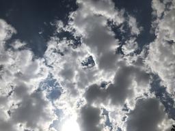 دوست جدیدی که دیگر دوست نیست.