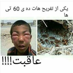 نصیحت زنبور،شیرین ترازانگور...