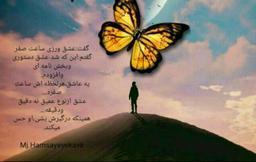 چوپان دروغ نگو...