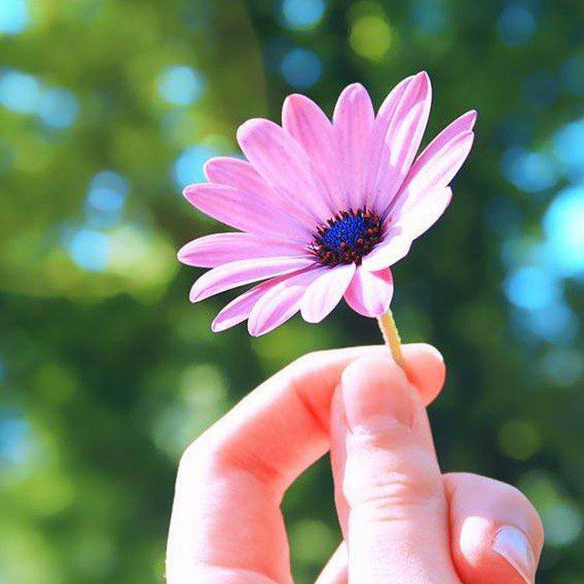 روزمعلم برتمامی معلمان ومتعلمان مبارک