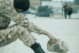 سربازی و قدرت عادت