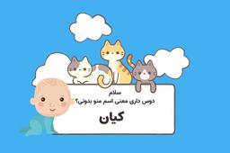 معنی اسم کیان چیست؟ ? اسم‌های مشابه دختر و پسر کیان