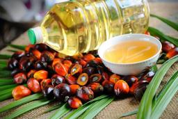 روش تشخیص روغن پالم