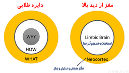 چرا بعضی برندها محبوب‌ترند؟