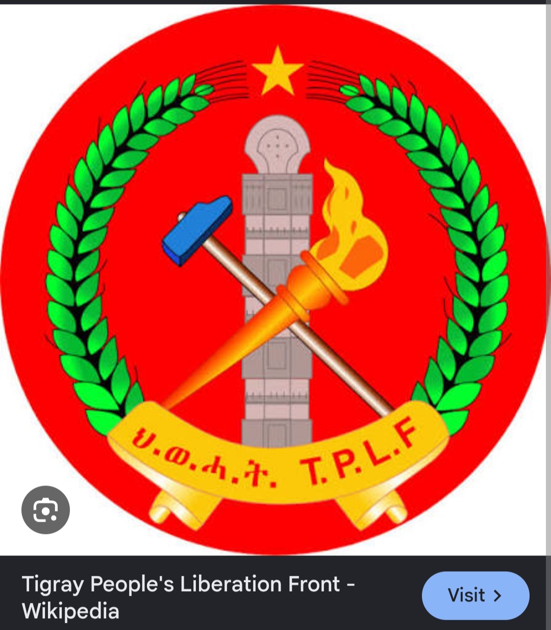 Tplf پرچم