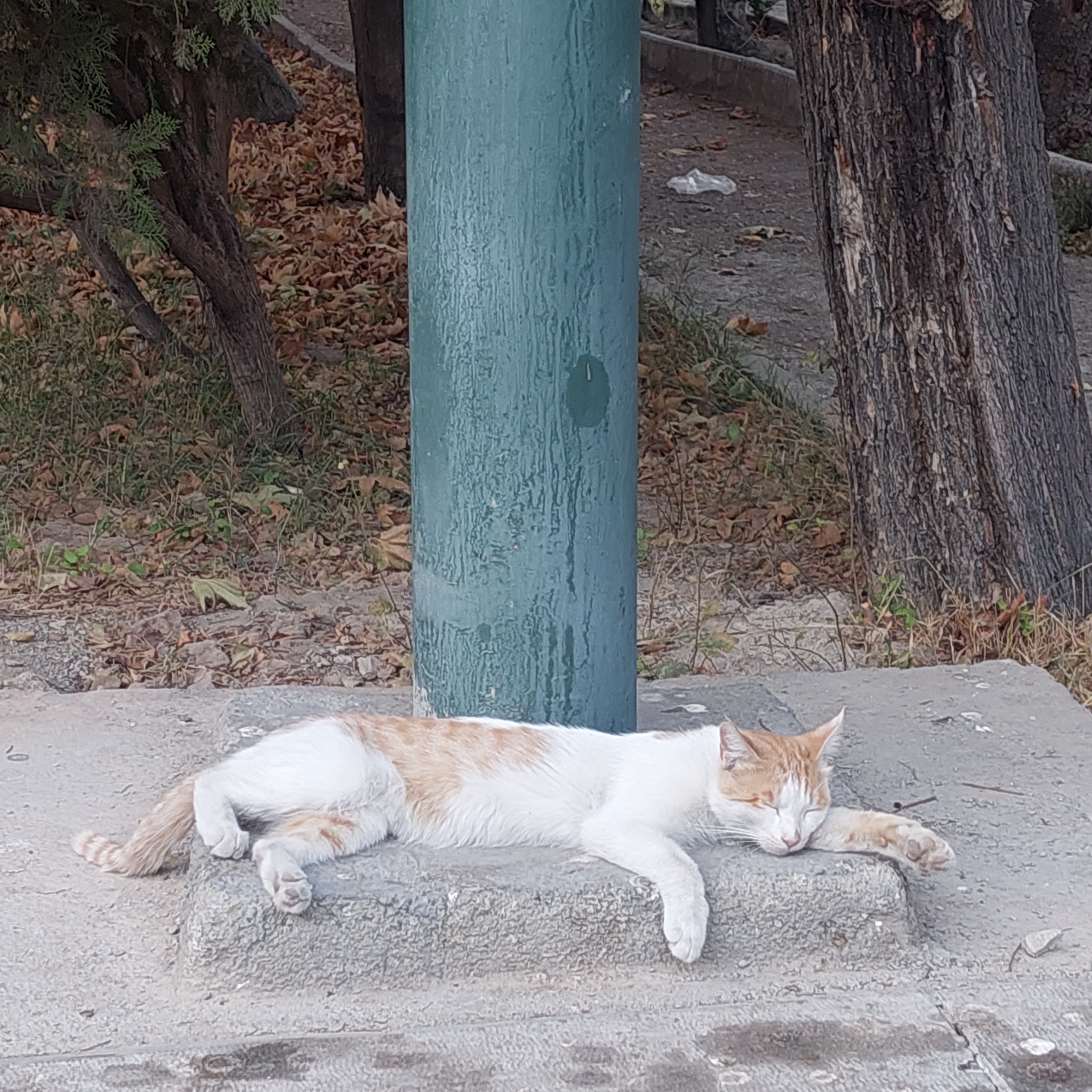 این عکسو باهم گرفتیم 💔