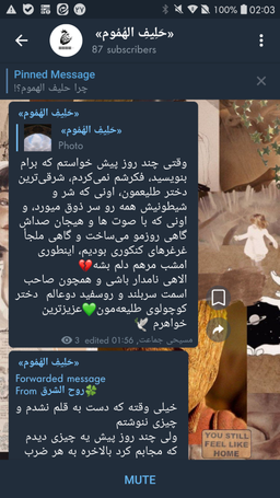 پرنده ی کوچک خوشبختی