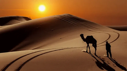 دشت لوت، جهنم روی زمین