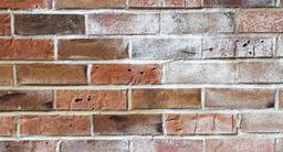 چه آجری بخریم شوره نزند؟