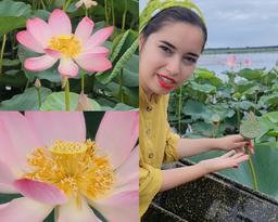 پسته ی دریایی بخریم یا نخوریم؟هیچکدام!