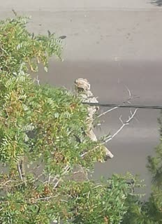 نزدیک خونه دوستم موشک خورده بود