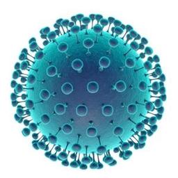 راهنمای انتخاب محیط کشت ویروسی