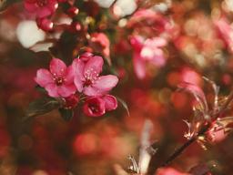 چرا نگرانی بی‌معناست؟ چرا جای نگرانی نیست؟!